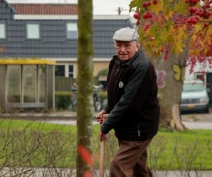 Demografische overgang in Fryslân