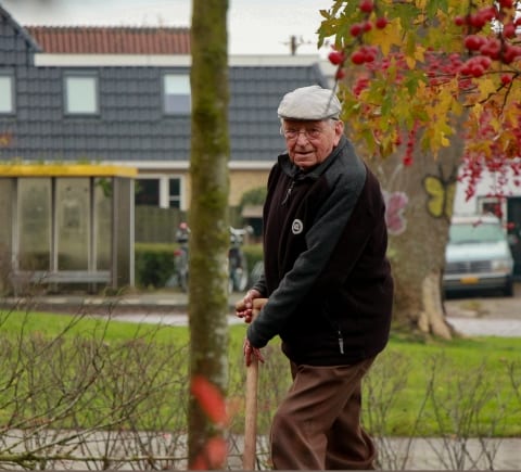 Demografische overgang in Fryslân