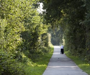 Gaan we leren van de coronacrisis?