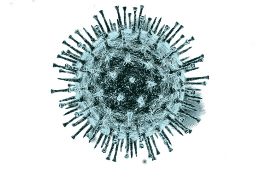 Coronavirus