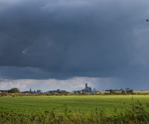 Kan Friese paradox de gevolgen van de coronacrisis verzachten?