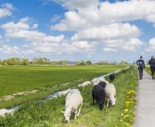 Leefbaarheid in Noord-Nederland