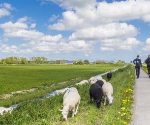 Leefbaarheid in Noordelijke provincies stabiel