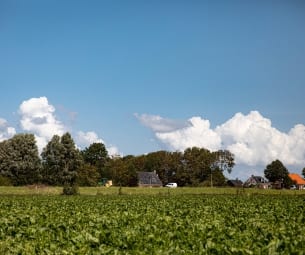 Regio Noordwest Fryslân: inwoners tevreden, maar economisch kwetsbaar