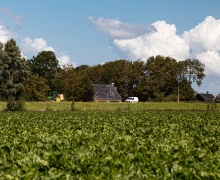 Regio Noordwest Fryslân: inwoners tevreden, maar economisch kwetsbaar
