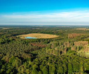 Onderzoek naar veerkrachtig landschap voor Regio Deal Zuidoost Friesland