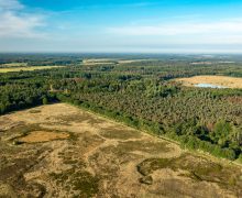 Nieuwe monitor Natuur en Landschap: Friezen genieten van natuur en landschap, maar zijn ook bezorgd