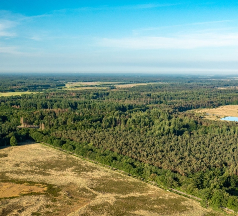Natuur en landschap in Fryslân