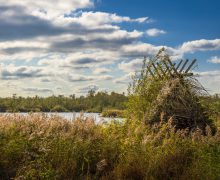 Ontwikkelen van kennisnetwerk voor de Friese Veenweide